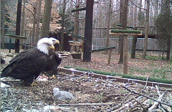 2010-03-02_164650.jpg