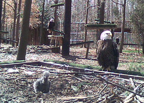 2010-03-03_175244.jpg