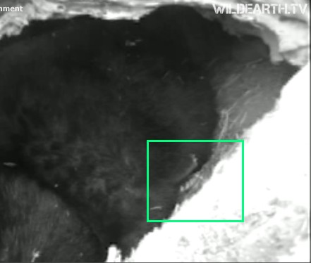 2010-03-03_204147.jpg