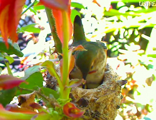 2010-03-03_204920.jpg