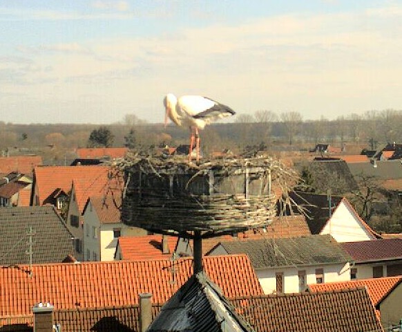2010-03-04_133819.jpg
