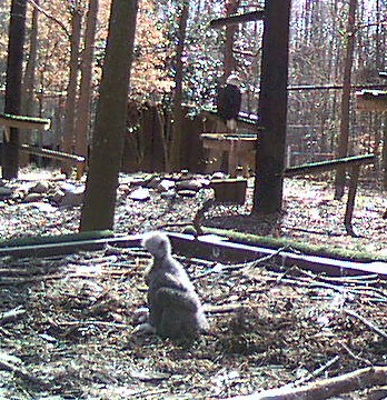 2010-03-04_205056.jpg