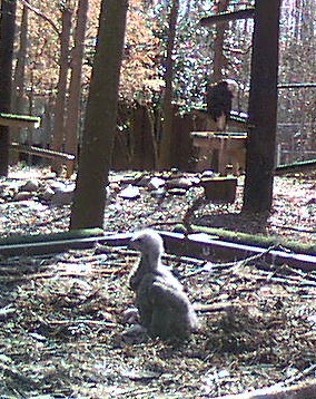 2010-03-04_205133.jpg