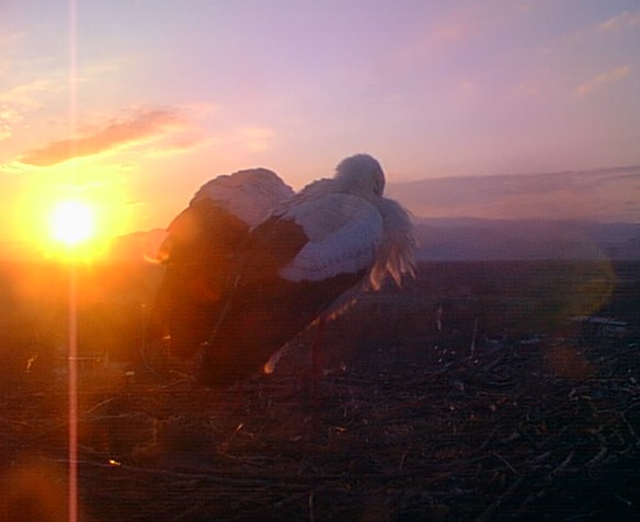 2010-03-05_084250.jpg