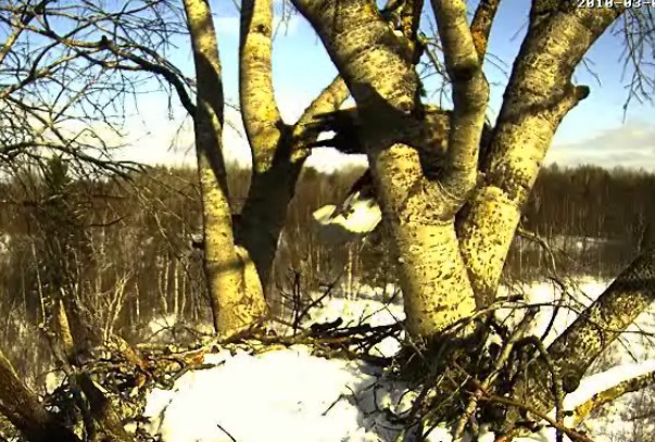 2010-03-05_102102.jpg