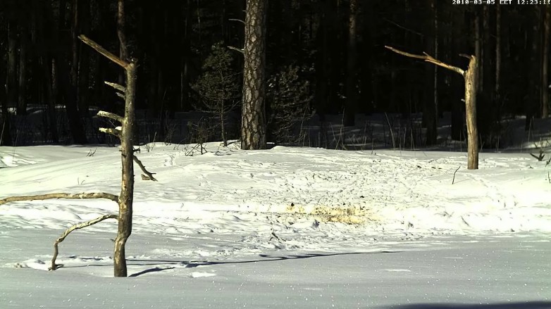 2010-03-05_112358.jpg