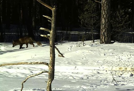 2010-03-05_115624.jpg