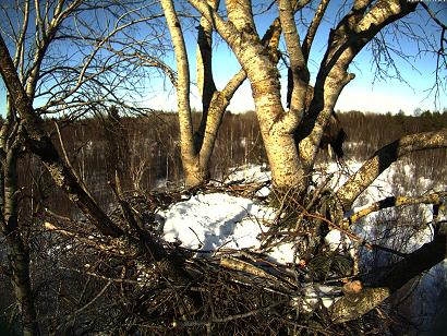 2010-03-05-14-44.jpg