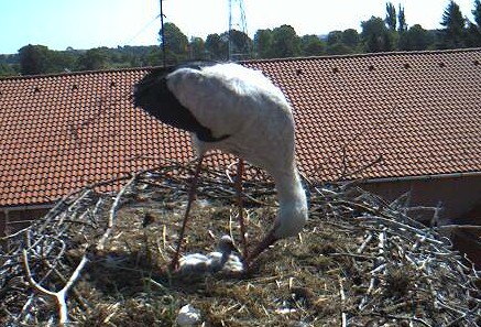 2009-05-11_100825.jpg