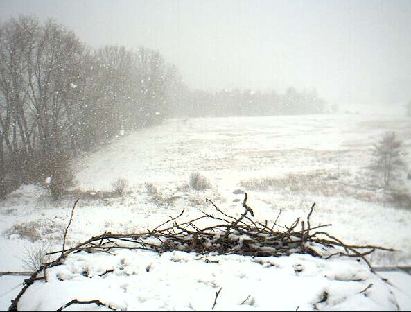 2010-03-06_120550.jpg