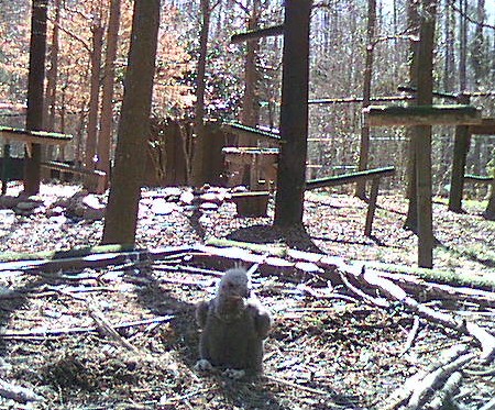 2010-03-06_200555.jpg