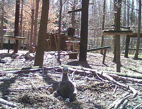 2010-03-06_200524.jpg
