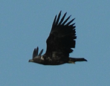 2010-03-06_211926.jpg