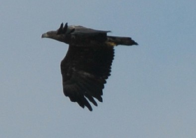 2010-03-06_212013.jpg