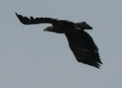 2010-03-06_212059.jpg