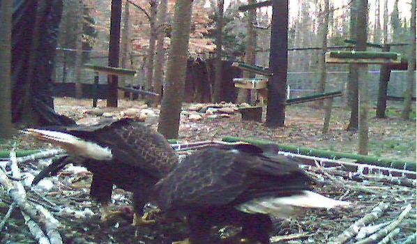 2010-03-07_002503.jpg