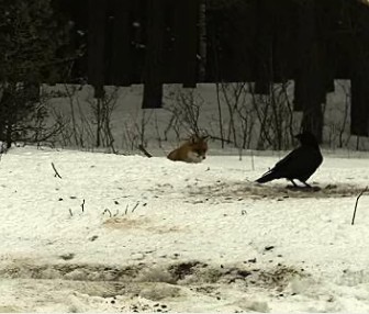 2010-03-07_084035.jpg