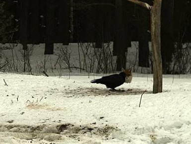 2010-03-07_084021.jpg