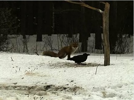 2010-03-07_084004.jpg