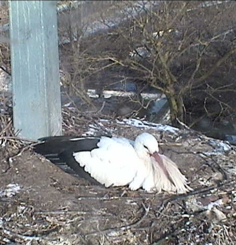 2010-03-07_090357.jpg