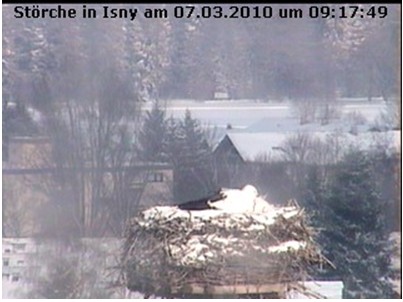 2010-03-07_091800.jpg