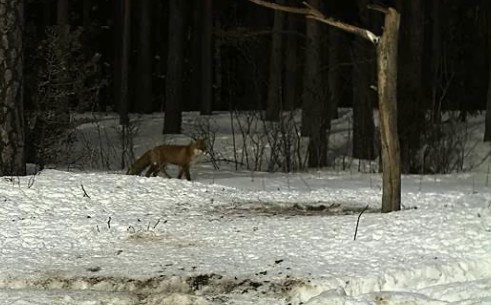 2010-03-07_103057.jpg