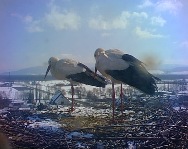 2010-03-07_173842.jpg