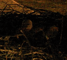2009-05-11_224917.gif