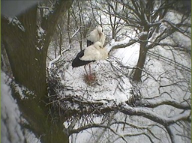 2010-03-08_090634.jpg