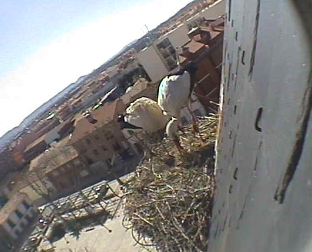 2010-03-09_134830.png