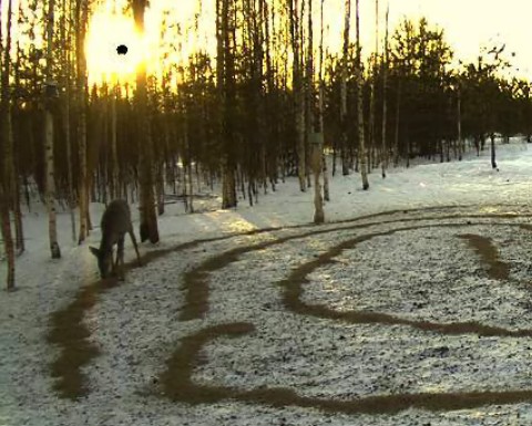 2010-03-09_160657.jpg