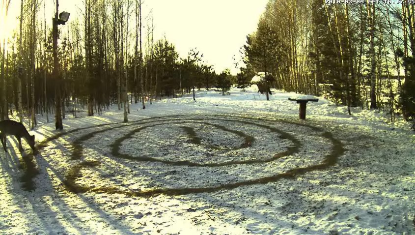 2010-03-09_151817.jpg