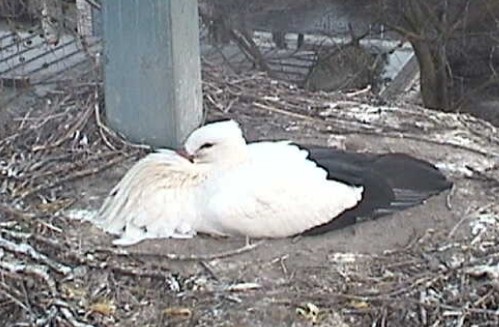 2010-03-10_070530.jpg