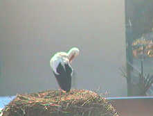 2010-03-10_113937.png