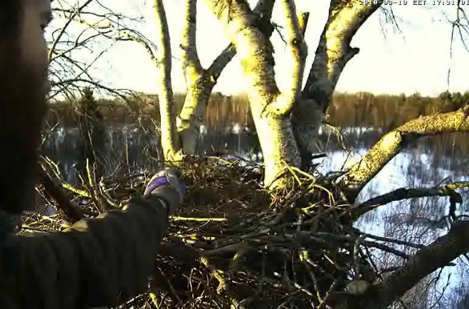 2010-03-10_163143.jpg