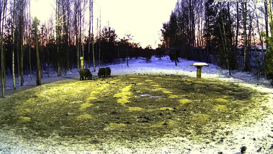2010-03-11_174051.jpg