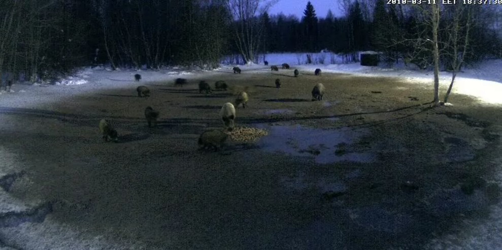 2010-03-11_174125.jpg