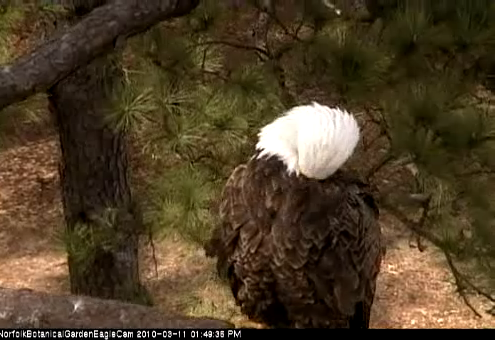 2010-03-11_194941.png