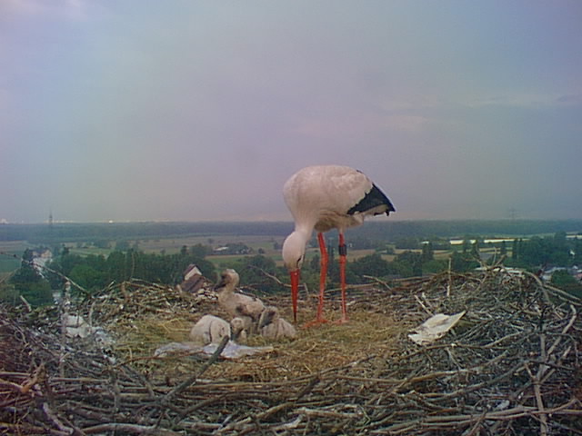 f_20090512190501.jpg