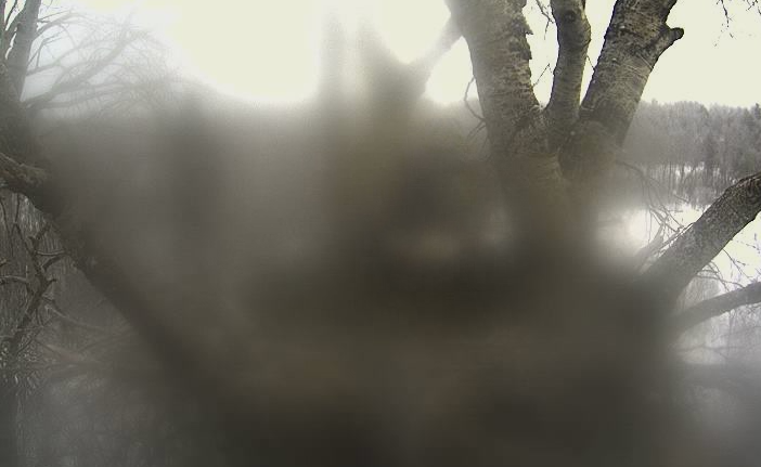 2010-03-13_074542.png
