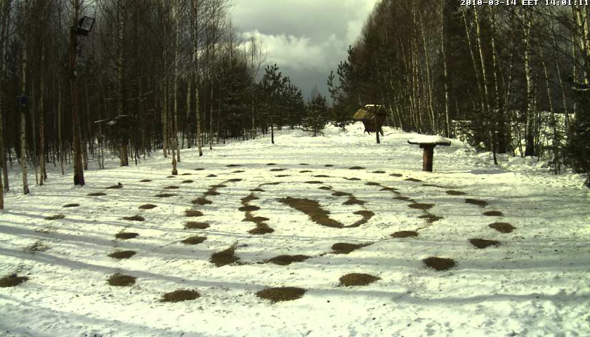 2010-03-14_130149.jpg