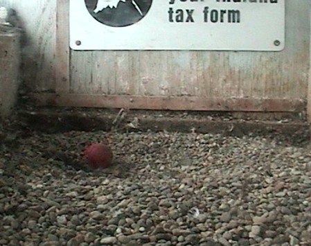 2010-03-14_150505.jpg