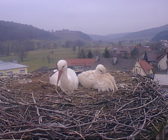 2010-03-14_154639.jpg
