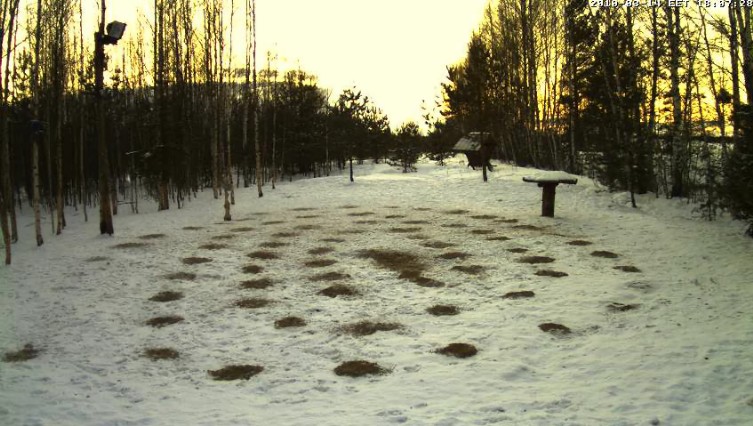 2010-03-14_170806.jpg