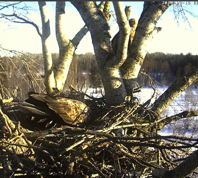 2010-03-15_070646.png