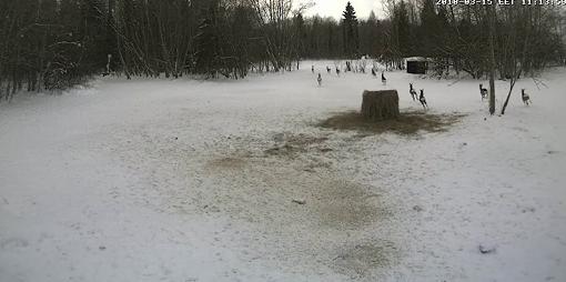 2010-03-15_101754.jpg