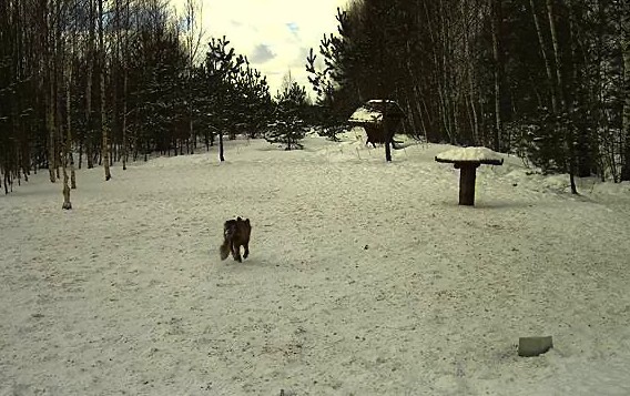 2010-03-15_125552.jpg