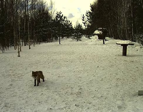 2010-03-15_125547.jpg
