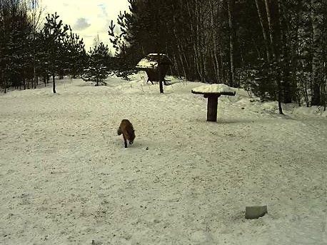 2010-03-15_125541.jpg