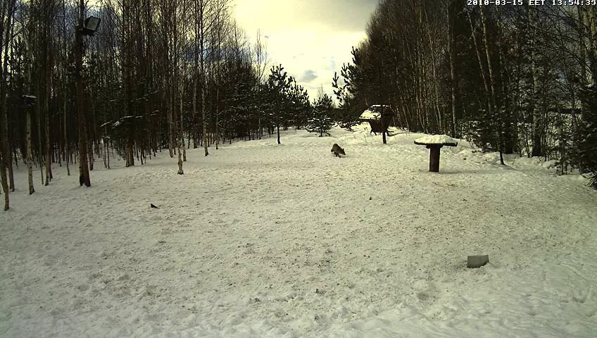 2010-03-15_125518.jpg